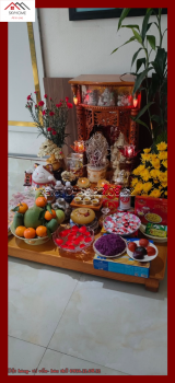 Chuột phá hũ gạo trên bàn thờ Thần Tài và cách xử lý